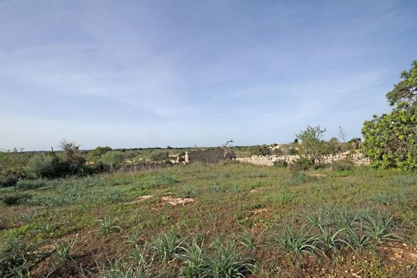 Meerblick Grundstück in Cala Figuera