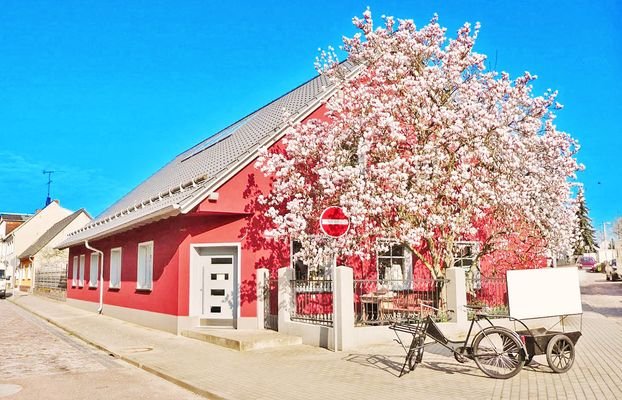 Hausansicht / Straßenseite