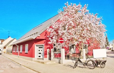 Coswig (Anhalt) Häuser, Coswig (Anhalt) Haus kaufen