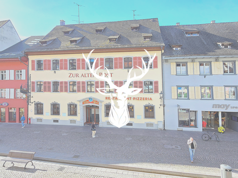 Waldshut-Tiengen Büros, Büroräume, Büroflächen 