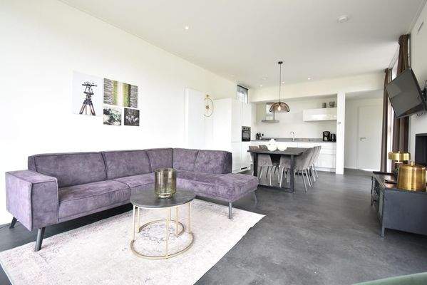 ferienhaus-kaufen-biddinghuizen-modernes-wohnzimme