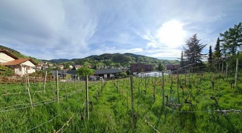 Bühlertal Grundstücke, Bühlertal Grundstück kaufen