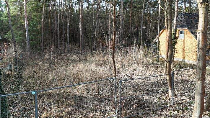Blick von der Straße auf das Grundstück