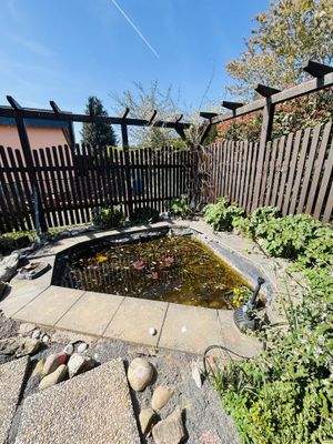 Teich an der Terrasse