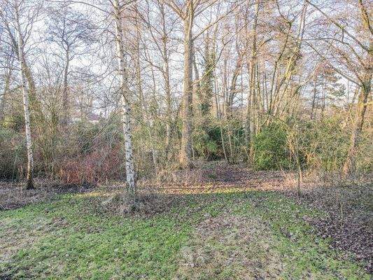 Bilder vom Grundstück