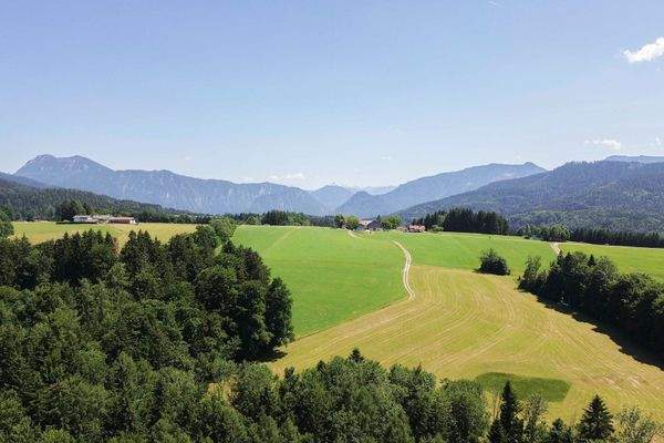 Luftbild Umgebung Sommer