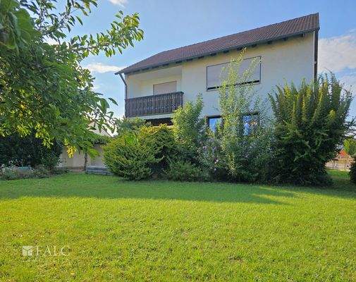 Aus dem Schatten der Bäume in den Garten blicken