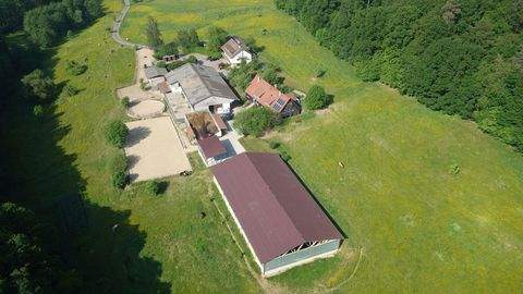 Eislingen Bauernhöfe, Landwirtschaft, Eislingen Forstwirtschaft