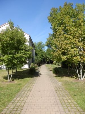 Umgebung