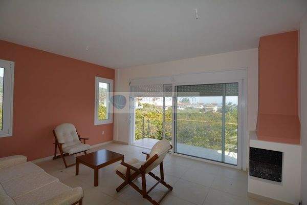 img_5ccf4803-89d9-47e0-9ce1-7056f90174e6