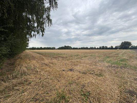 Ackerland - Getreidestoppel