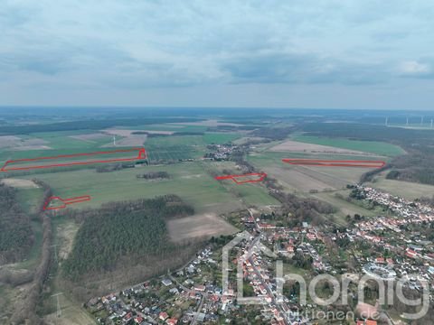 Dessau-Roßlau Bauernhöfe, Landwirtschaft, Dessau-Roßlau Forstwirtschaft