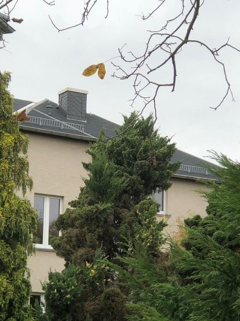 Dresden Renditeobjekte, Mehrfamilienhäuser, Geschäftshäuser, Kapitalanlage
