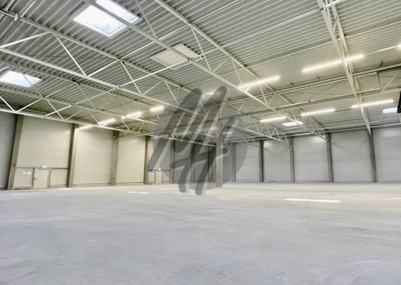 INFOS UNTER: 06171-586000