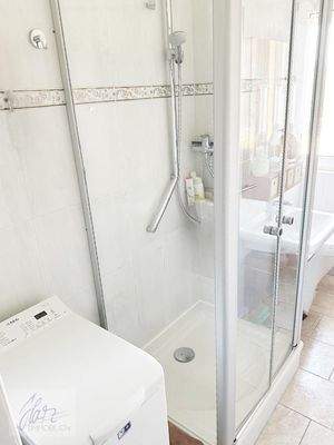Tageslichtbad mit Dusche, WC, Waschtisch und Waschmaschienenstellplatz (Verkauf ohne Inventar)