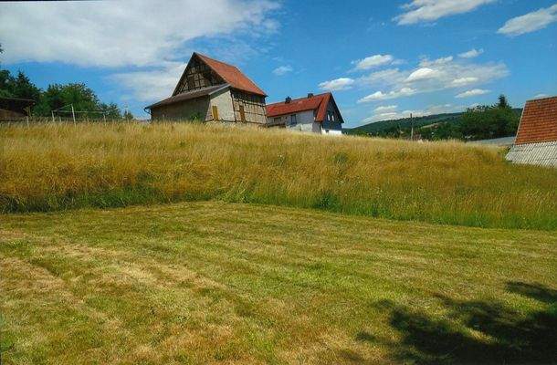 Baugrundstück Viernau