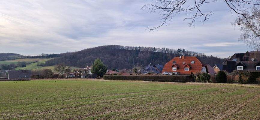 20240129_152324 1.jpg