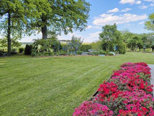 Impressionen der Sommermonate - Garten