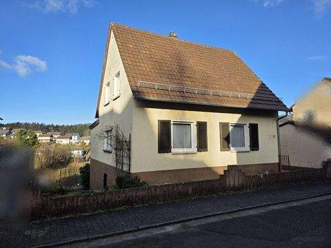 Hauenstein Häuser, Hauenstein Haus kaufen