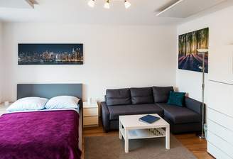 combined living and sleeping area