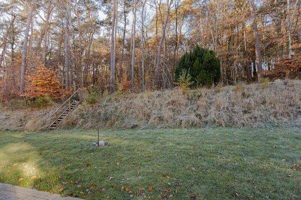 Gartenfläche hinter dem Haus