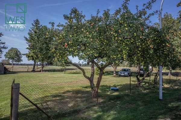 Wir fuer Sie Immobilien-Gerdshagen-8.jpg