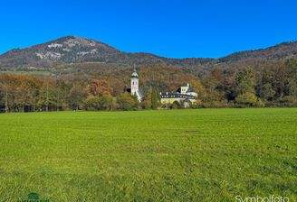 Baugrundstück, Immobilien-Kurz-Salzburg