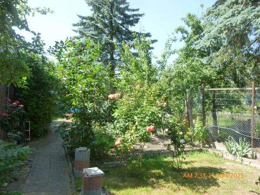 Teil des   zusätzlichen Pachtgartens  