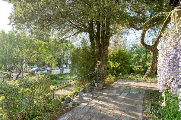 Blick in den Garten von der Terrasse