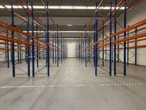 Osteinbek Halle, Osteinbek Hallenfläche