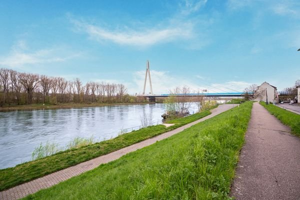 Blick zur Rheinbrücke