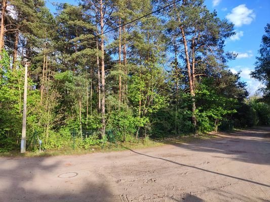 Blick auf die Grundstücksseite Auf der Heide