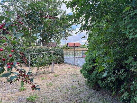 Teilansicht Garten.jpg