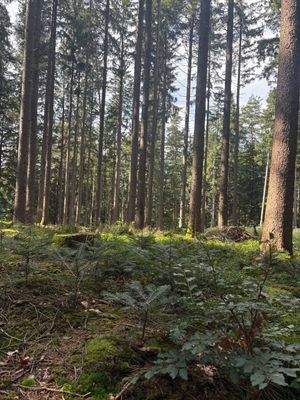 2025-08-22 15.23.43.jpg