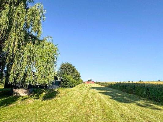 Detail Grundstück (5)