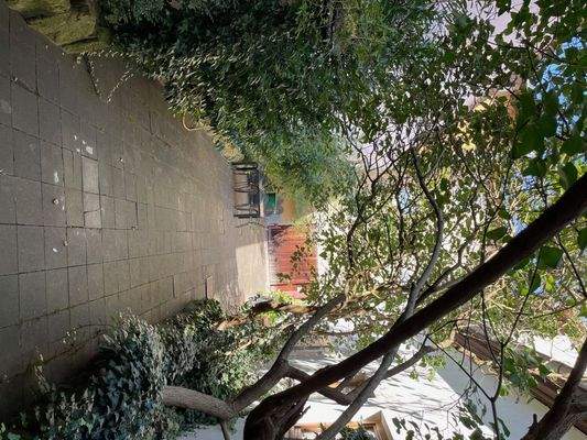 12 Hofraum u. Biergarten.jpg