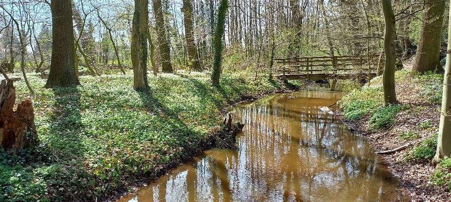 Nebenfluss der der Großen Aue