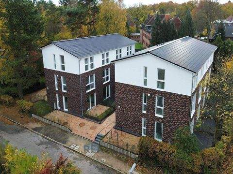 Hamburg Häuser, Hamburg Haus mieten 