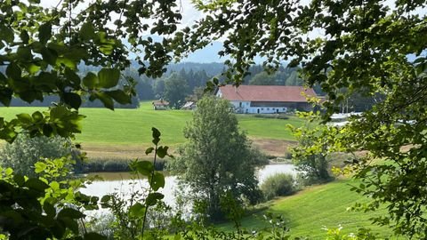 Peißenberg Wohnungen, Peißenberg Wohnung mieten