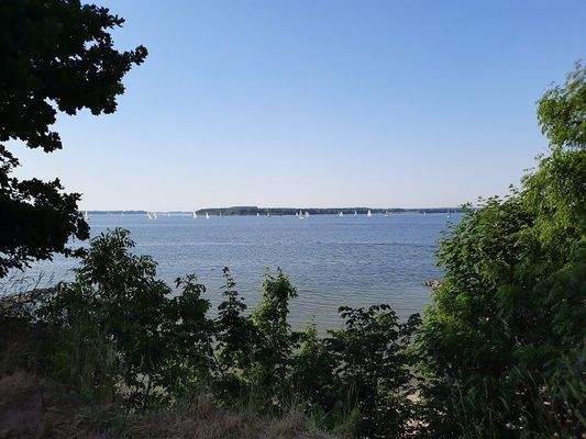 Blick vom Grundstück