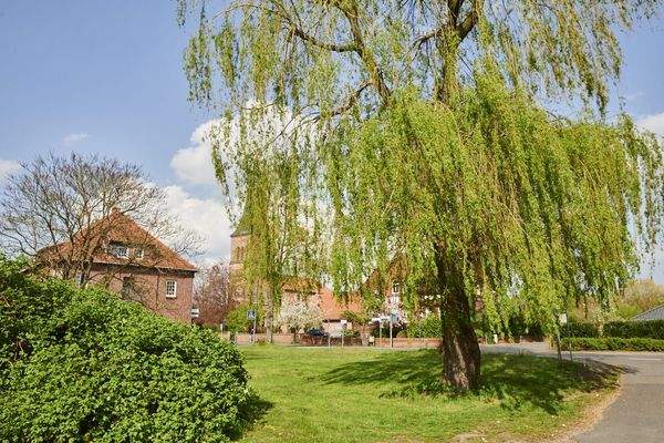 Schwarme im Frühling