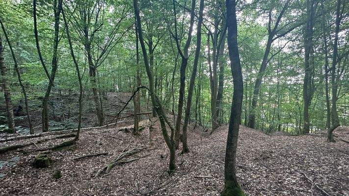 Blick nach Süd-Ost - zum Parkplatz