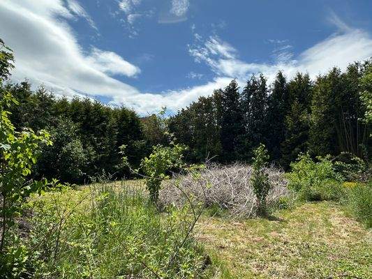 10 Gartengrundstück.jpg