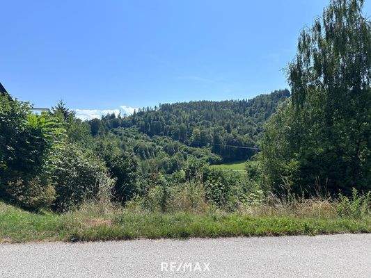 Ausblick von der Straße