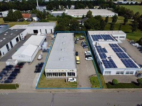 Lübbecke Halle, Lübbecke Hallenfläche