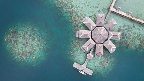 Kepulauan Anambas Regency Bauernhöfe, Landwirtschaft, Kepulauan Anambas Regency Forstwirtschaft