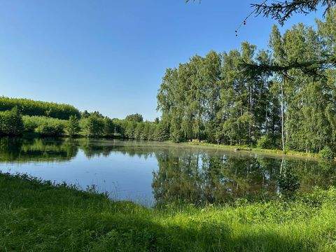 Wunsiedel Bauernhöfe, Landwirtschaft, Wunsiedel Forstwirtschaft