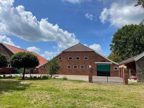 Jemgum-Holtgaste Bauernhöfe, Landwirtschaft, Jemgum-Holtgaste Forstwirtschaft