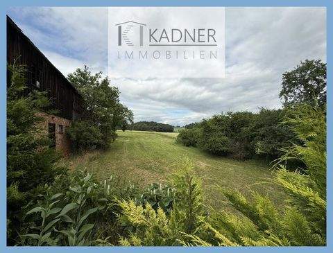 Schneckengrün Häuser, Schneckengrün Haus kaufen