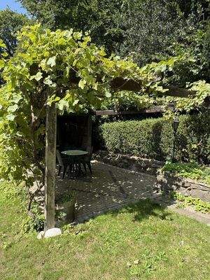 Terrasse/Pergola